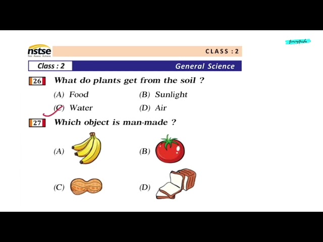 NSTSE General Science Class 2