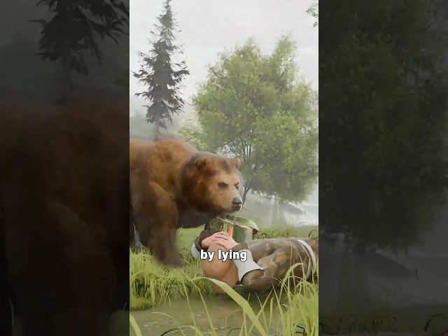 How To Survive A Bear Attack ๐ฑ