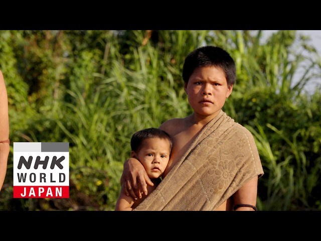 The Isolado Reemerge: Unknown Depths of the Amazon - Documentary 360