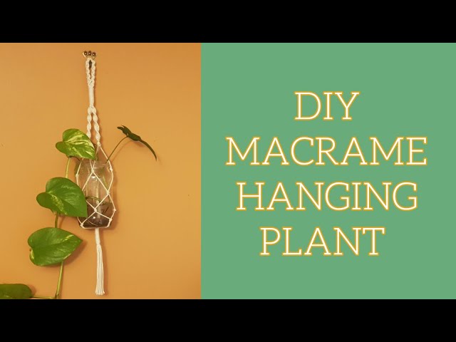 How to make a macrame hanging plant holder