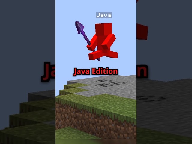 Java vs Bedrock Edition Players..