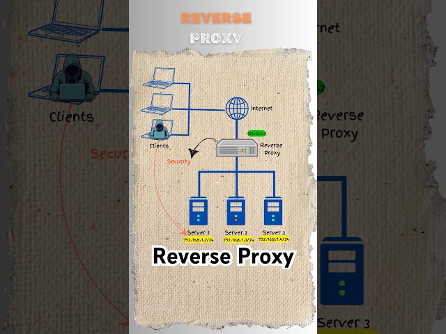 What is Reverse Proxy? #proxy #loadbalancer #networking #networksecurity #cybersecurity #education