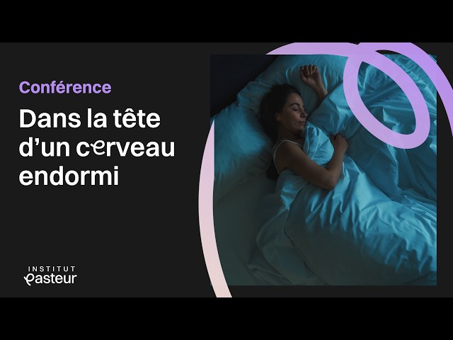 🧠 Dormir, rêver, être anesthésié… que fait vraiment notre cerveau ? | Conférence neurosciences