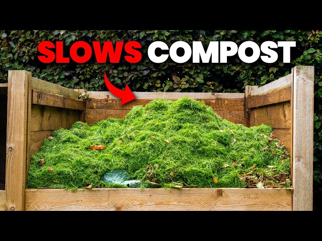 Why Your Compost Is Taking FOREVER
