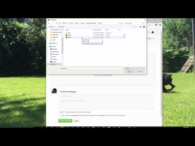 PRG-105: Handing in Work on GitHub
