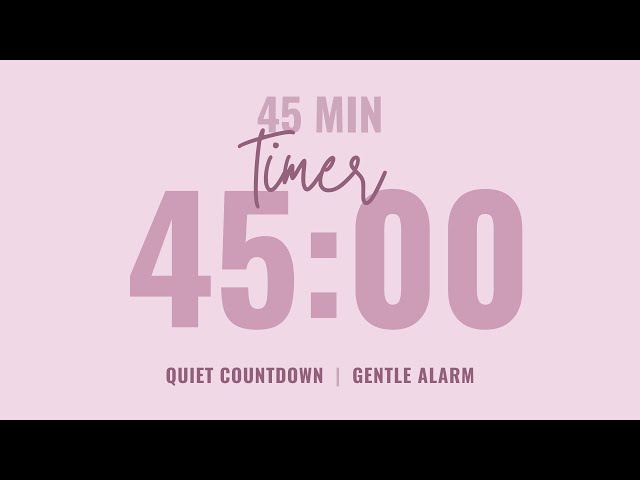 💗 45 Minute Quiet Countdown Timer ⌛ Gentle Alarm ⏰ Aesthetic Pastel Pink