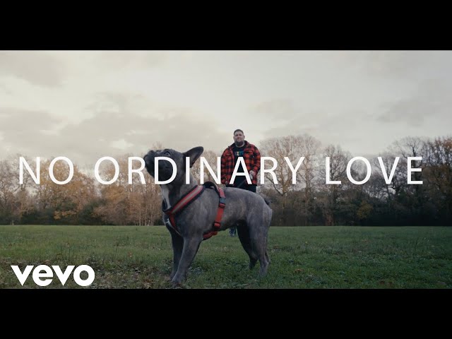 Rag'n'Bone Man - No Ordinary Love (Live from Larch Studios)