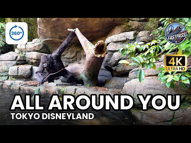 Jungle Cruise: Wildlife Expeditions 4K Onride 360° 🚤 | Look Around | Tokyo Disneyland 2026