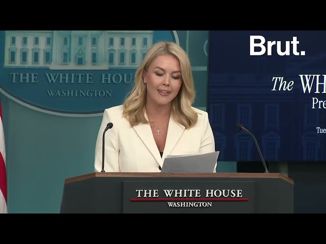 Press Briefing by White House press secretary Karoline Leavitt