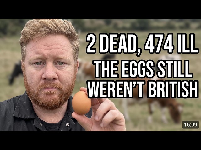 2 Dead, 474 Ill: Why British Eggs Aren't the Problem