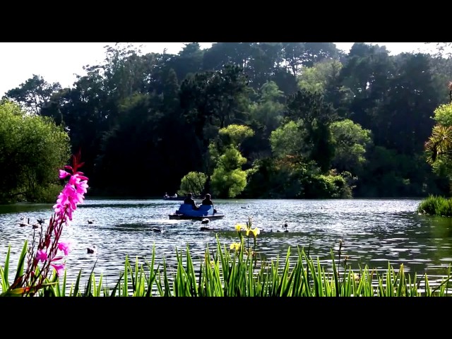 My Edited Video