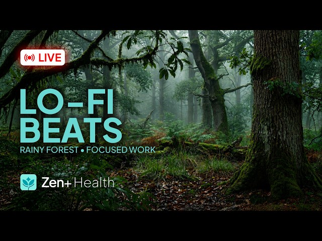 Focused Work Music - Rainy Forest - Zen+ Health