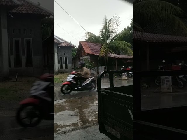Relaxing Rain at the house 🌧️🌿 (Hujan Tenang di depan rumah)