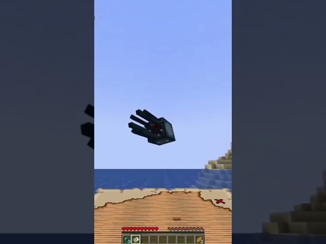 Flying Squid - Stream Highlights