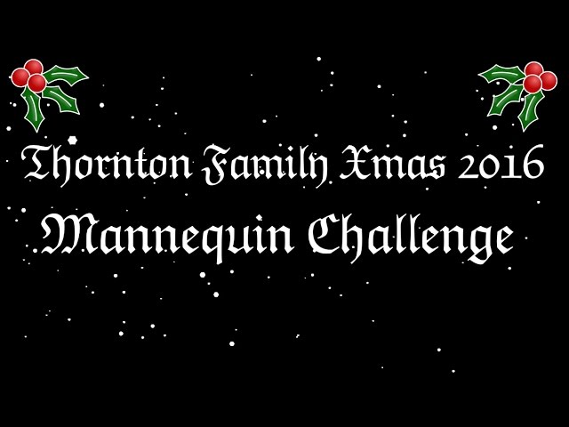 Mannequin Challenge - Thornton Family Xmas Party 2016 - Ages 17mnths to 81 yrs!