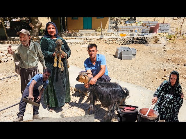 🐐🥹 Their First Baby Goat Arrived! Asghar & Halimah Are Overjoyed ❤️
