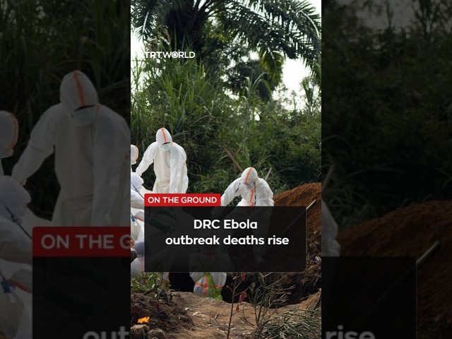 DRC Ebola death toll surpasses 4,000 since May