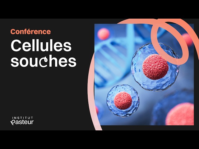 Cellules souches : avenir prometteur pour réparer le vivant ? | Conférences de l'Institut Pasteur 🏫