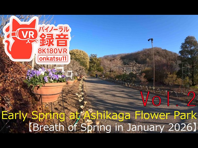 [8K VR180]🌱[Early Spring at Ashikaga Flower Park—Breath of Spring in January 2026]②