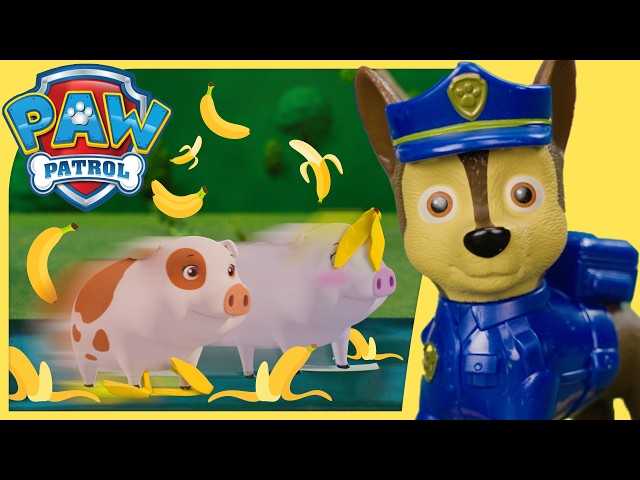 The Pigs Go Bananas | PAW Patrol | Toy Play for Kids