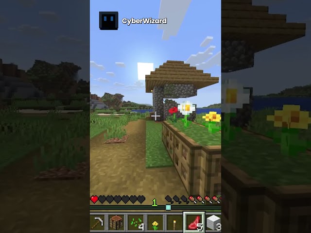 Minecraft, but if we say a block's name it gets deleted #minecraft #chucklenuts #speedrun