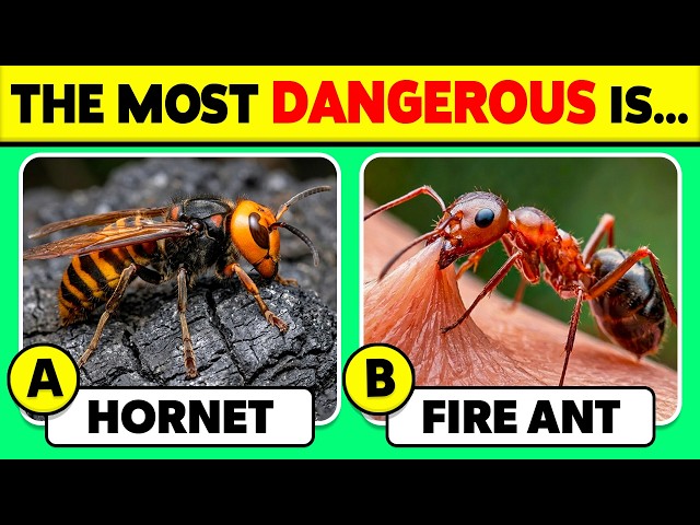 How Well Do You Know ANIMALS? 🐝🐜✅ | 50 Animals Knowledge Trivia Quiz