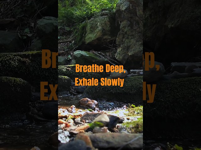 Breathe Deep, Exhale Slowly #nature #mentalhealth #asmr #shorts #water #cozy #outdoors
