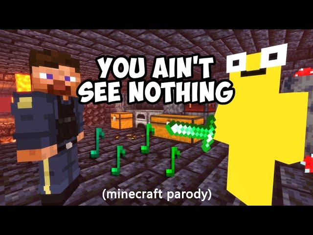 You Ain't See Nothing - Can't Tell Me Nothing Parody (Music Video)