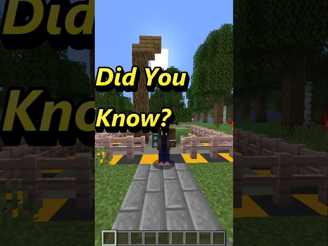 Did You Know You Can Bounce on Slime Blocks in Minecraft?  #minecraft #didyouknow