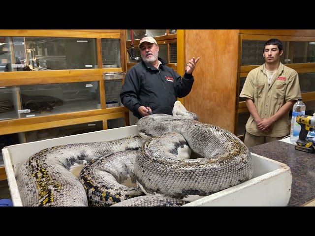 BIT BY A 20 FOOT PYTHON 🤦‍♂️