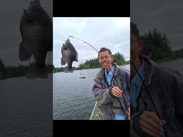 Remote Viewing Secrets: Catch More Fish Instantly!