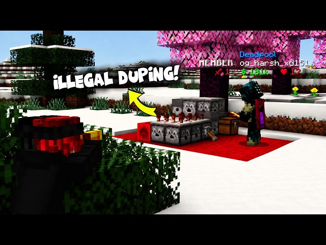 I Found An ILLEGAL Dupe Machine In this Lifesteal SMP...