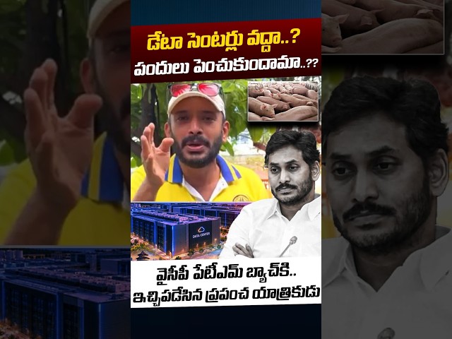 Naa Anveshana Comments On YCP: డేటా సెంటర్లు వద్దా..? పందులు పెంచుకుందామా..?? | Nethra Tv Telugu
