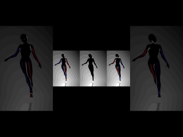 The Silouette Dancer Optical Illusion