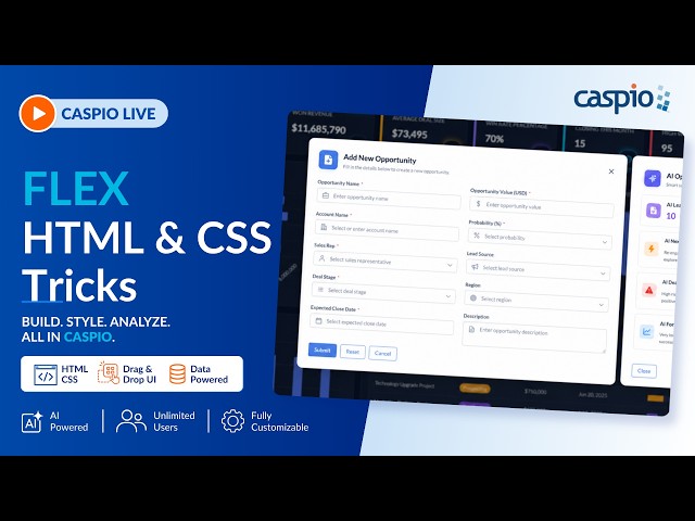 HTML & CSS Tips and Tricks for Caspio Flex Applications