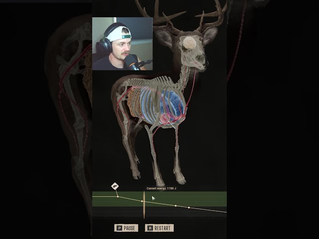White-tailed Deer Gets Smoked! #wayofthehunter2