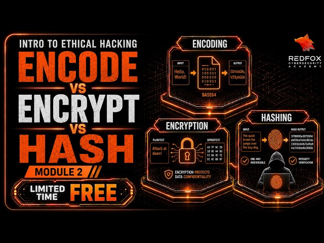 Encoding vs Encryption vs Hashing Explained | Ethical Hacking for Beginners
