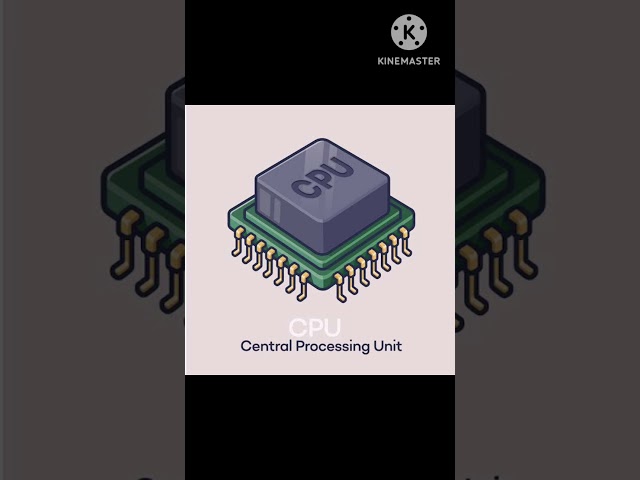 What is Microprocessor