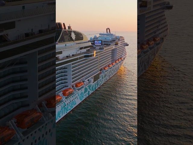 She’s not like other ships. 💙 On MSC Euribia, a giant colourful mural covers much of her exterior.
