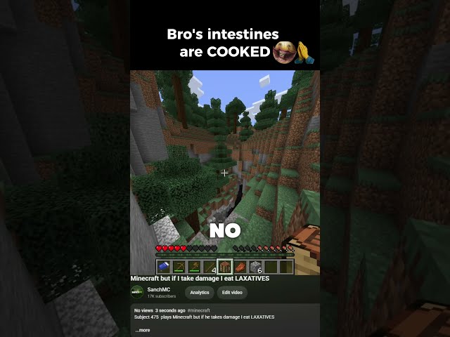 Minecraft but if I take damage I eat LAXATIVES