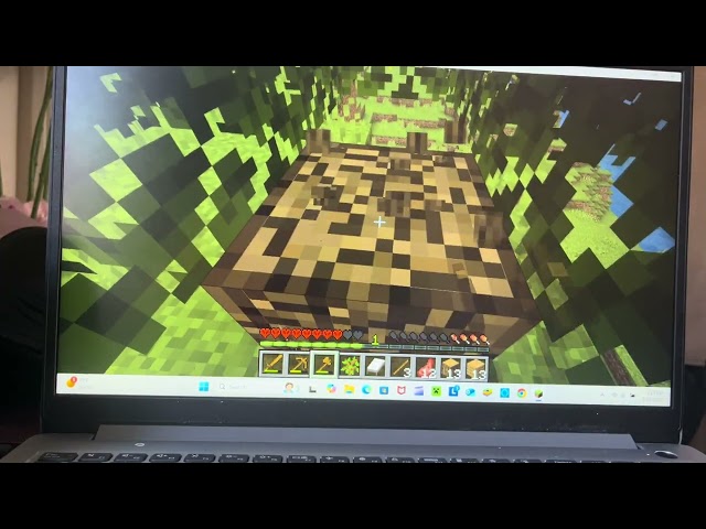 Minecraft Java Edition ASMR