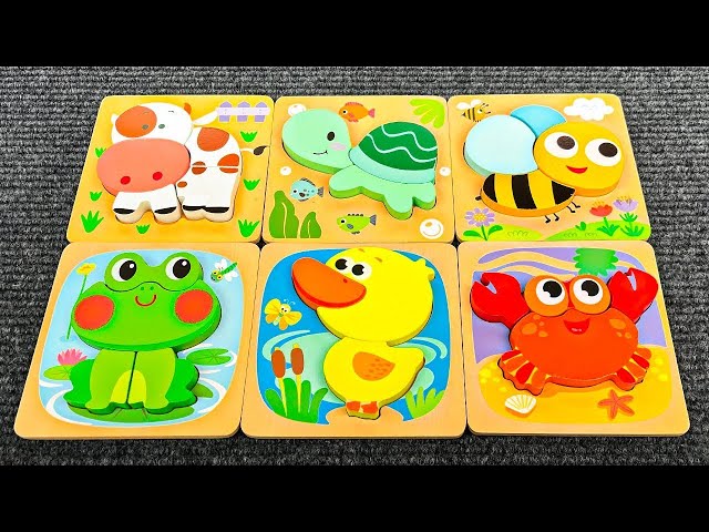 Best Learn Shapes with Animals Shape Matching Puzzle | Preschool Toddler Learning Kids Toy Video
