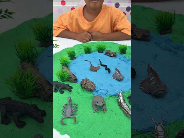 Venomous and Poisonous Diorama        #shorts #shortvideo