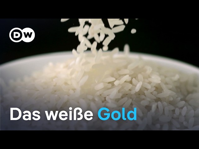Wem gehört Basmati? EU vor schwieriger Entscheidung