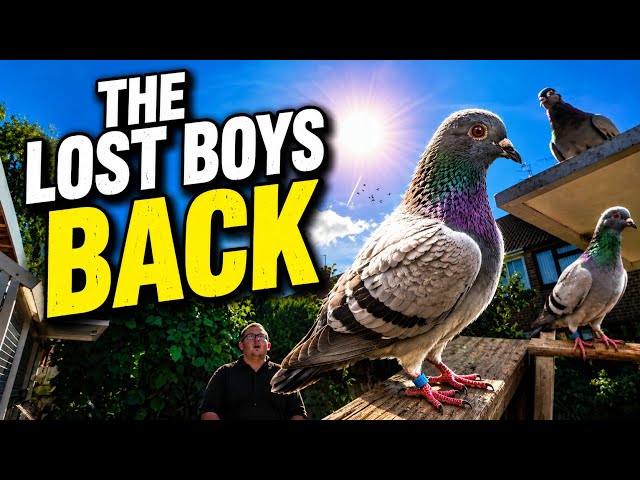 THE LOST BOY RETURNS HOME 
