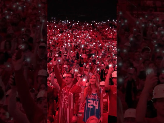 Alabama Basketball "Views from Coleman" | The University of Alabama