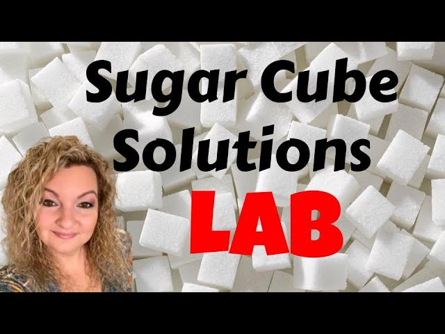 Rate of Dissolving Lab Experiment |Agitation, Heat, & Increased Surface Area  | Science of Solution