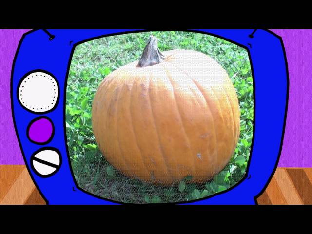 What Is It? - Simple Skits