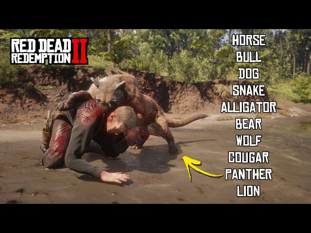 THIS IS HOW WILD ANIMALS BRUTALLY ATTACK YOU IN RED DEAD REDEMPTION 2