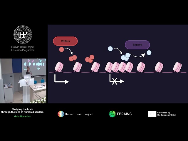 Gaia Novarino - Studying the brain through the lens of human disorders